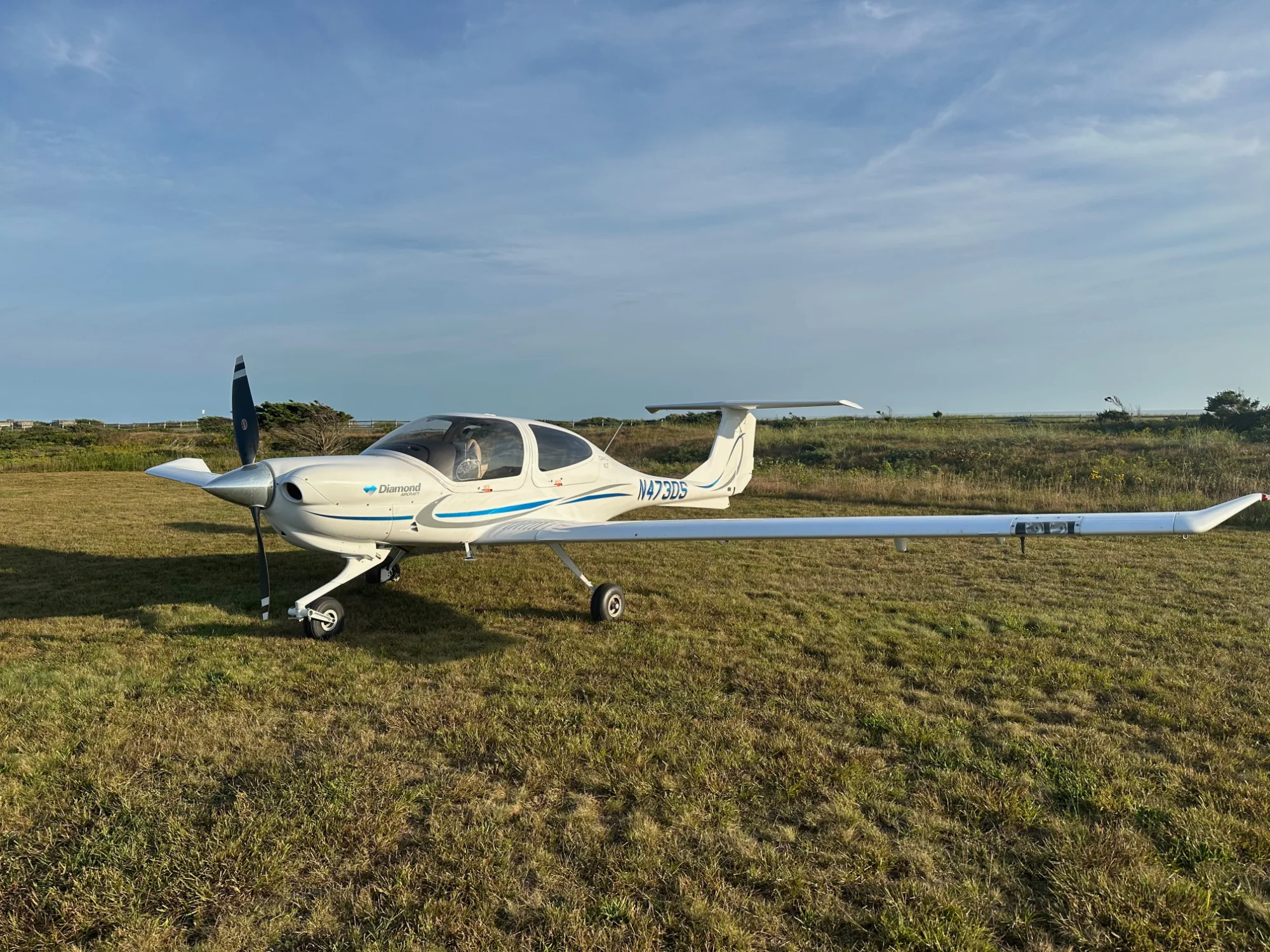 Diamond DA40 on Grass Field
